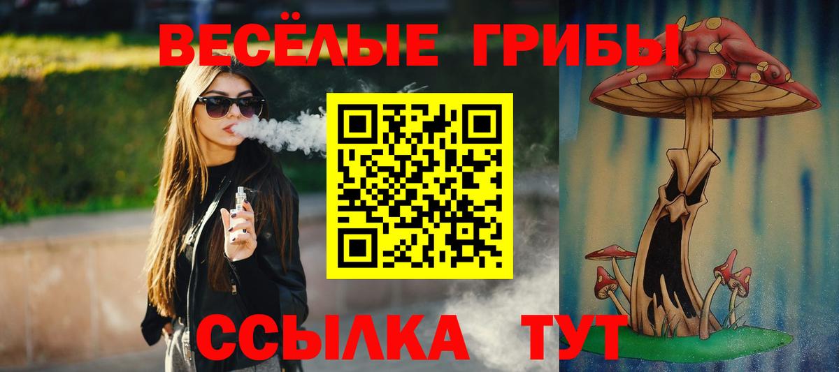 Галлюциногенные грибы Magic Shrooms  Вход с VPN  Галлюциногенные грибы GOLDEN TEACHER  Котельники 